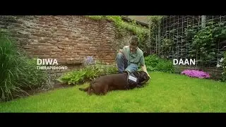 Ervaringen therapie met hulphonden | Hulphond Nederland