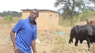 Judas Mutengesi - Fodya Yematare (Offical Video)