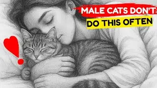 Why Your Male Cat Sleeps With You &mdash; What It Really Means