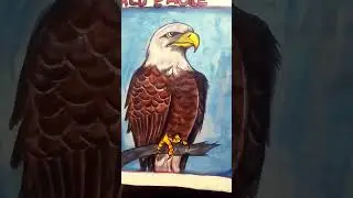 Drawing eagle 🦅 ❤️🔥😍😍🥰#shorts#short video#viral video