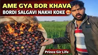 😡 Ame bor khava gaya&hellip; pan Bordi ma je thayu te kharab hatu 🤬| @Prince_Parmar_06 