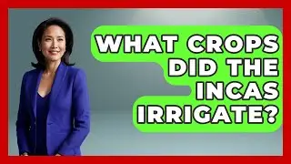 What Crops Did The Incas Irrigate? - Archaeology Quest