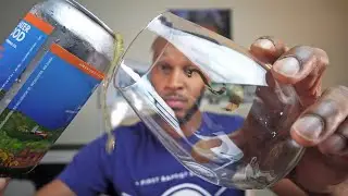 When You Drunk Pouring A Craft Beer Review | Greater Good Imperial Brewing Company 