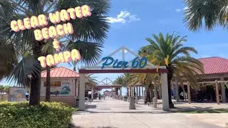 미국 일상 vlog 🇺🇸 ㅣ 플로리다 템파 & 클리어워터 비치 여행가기 / 처음 가보는 한식당 /   스펙타클한 날씨 구경