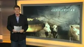 Commodities Report