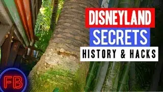 The Dominguez Tree in Adventureland - Disneyland Secrets and History