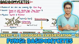 Biological Classification| Lec 16- Fungi: Basidomycetes| Class 11| NEET| Neetology