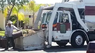 PARK Waste & Recycling Services: Edge Octo Front Loader #55 (Spare)