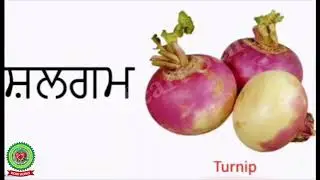 ਸਬਜ਼ੀਆਂ ਦੇ ਨਾਮ , read pg 61 Class 2 Punjabi Holy Heart Schools