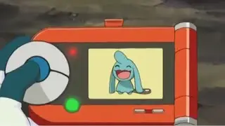 Wynaut Pokedex Entry no.360