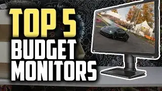 Best Budget Gaming Monitors in 2019 | Pro Gaming On A Budget