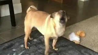 morgz mom's scream (not edited 😂)