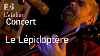 L' atelier Concert avec Le L&eacute;pidopt&egrave;re - Emission webTv musicale - PCS Music