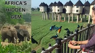 Africa's hidden gem, Safari at Taita Hills , my favorite game drive!