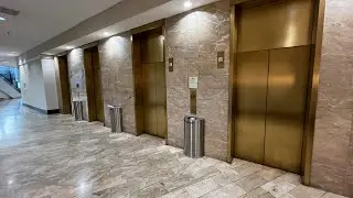 Fast High Rise Westinghouse Elevators at the Hilton Mark Center - Alexandria, VA