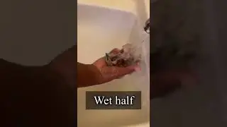 Jamaican Cleaning Hack| No Chemicals Needed| Jamaicanomics| DIY Cleaning #shorts  #viralshorts