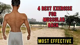 From Zero to Wide Back &mdash; Only 4 Exercises You Need!