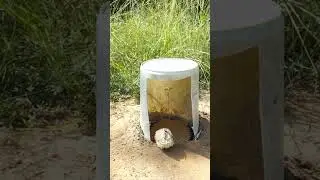The First New Creative Bird Trap Using Old Bottle & Hole - How To Catch Quail Bird By Trap