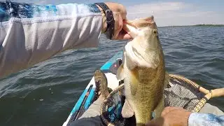 Catching a 30lb limit of Bass in an Hour - Summer Time Cranking