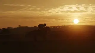 Racehorse Ownership in Ireland Ireland