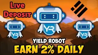 Yield Robot / 750 BUSD Live deposit & project overview