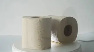 Lampure hot sell Unbleached toilet paper.100% Bamboo Pulp,Fast Solubility and good water absorption.