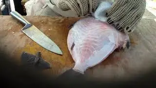 How to skin a trigger fish