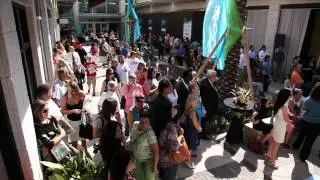 La Palmera Transformation