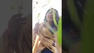 Golden Mustard Fields + This Song = Pure Vibes 💛✨