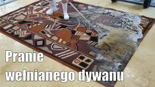 Pranie na wskroś dywanu wełnianego.