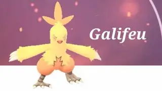 Galifeu