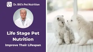 Life Stage Pet Nutrition | Improve Their Lifespan | Dr. Bill's Pet Nutrition