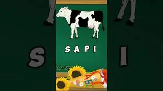 Belajar mengeja nama hewan | Sapi | #shortsvideo