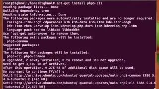 Install PHP5 in Ubuntu 12.10 quantal quetzal