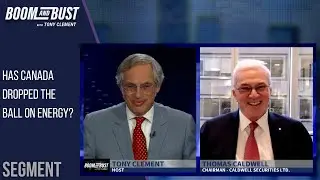 Global Politics and Economic Relationships | Boom and Bust