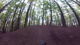 MTB Downhill Hometrail Tour im Spessart (Findberg und Erbig bei Aschaffenburg)
