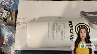 High - Efficiency 1000422388 Weichai Fuel Filter: Unleash Peak Engine Performance