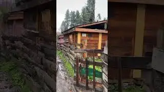 Video #111 :- Some Glimpses between Fairy Maedow & Beyal Camp ! 3550m Elevation of that point.