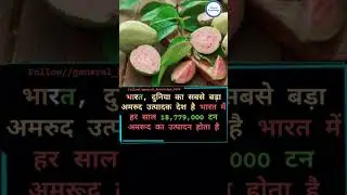 General knowledge update questions in Hindi #inyoutube#explore #general_knowledge_3458