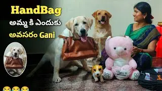 Gani తో Challenge మనము win అయితే మా  | Mom Love | @upendragani