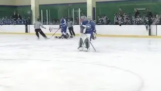NWHL Player Safety: Molly Engstrom Hit