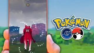 🔴 Live Raid Invitation Shiny Zacian 11 🔴 #pokemongo
