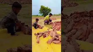 deva kalji re #महाराष्ट्रत अवकाळी पावसाने अनेक ठिकाणीत तेंदू पाण्यात भिजला
