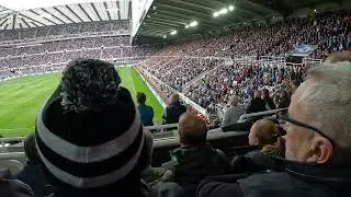 🎶have you ever seen a mackem in Milan??🎶 #nufc #newcastleunited @NUFC