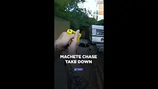 High-speed pursuit take down