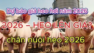 Dự B&aacute;o Gi&aacute; Heo Hơi Năm 2026: Tăng Mạnh Hay Quay Đầu Giảm? Người Nu&ocirc;i Cần Biết Sớm