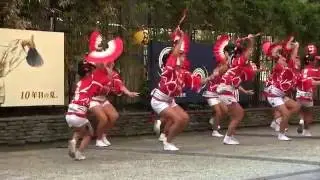 阿波扇　「NHK真昼の阿波踊り」　2016年8月13日