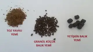 (177) (balık yemi )PALET YEM DEN NASIL YEM YAPILIR ?
