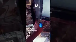 You are so funny video #cat #food #pets #comedy