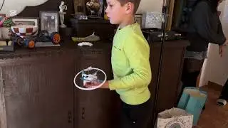 Дети приехали на Рождество.